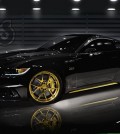 2015 Mustang by Galpin Auto Sports