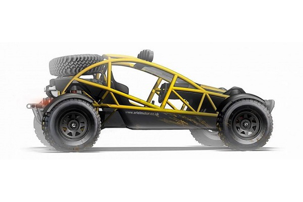 Ariel Nomad