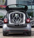 Smart Forgigs