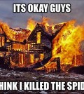 Burning House