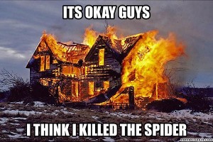 Burning House
