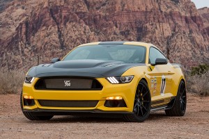 Shelby Terlingua