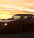 Gregg Hamilton 1979 Pontiac Firebird Trans Am
