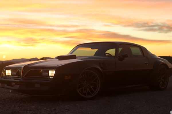 Gregg Hamilton 1979 Pontiac Firebird Trans Am