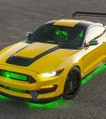 Ford "Ole Yeller" Mustang bred from Shelby GT350®